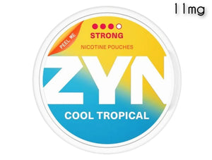ZYN NICOTINE POUCH