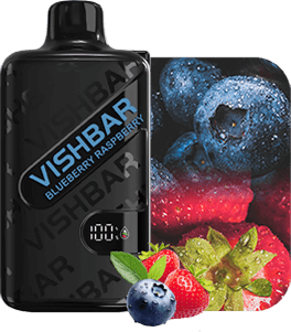 VISHBAR 20K PUFFS
