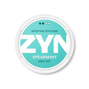 ZYN NICOTINE POUCH
